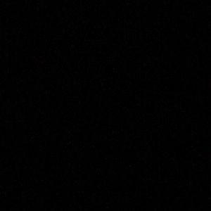 Meet your Posher, Danie